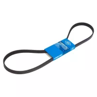 Ремень поликлиновый SUN