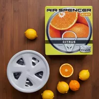 Ароматизатор меловой SPIRIT REFILL - CITRUS