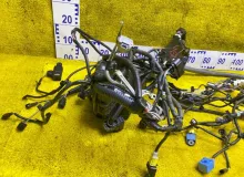 Коса под капот LEXUS RX200T 2020 821114D252 AGL20W/AGL20L/AGL20R 8ARFTS, передняя