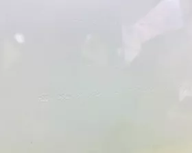 Дверь боковая HONDA