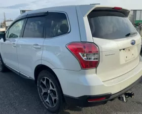 Коврик багажника Subaru