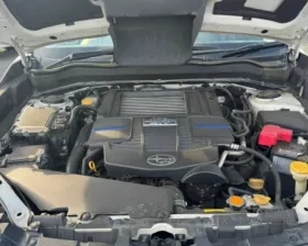 Коврик багажника Subaru