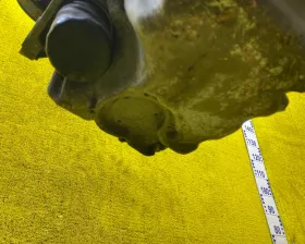 Двигатель HONDA