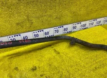 Горловина топливного бака TOYOTA LAND CRUISER/LAND CRUISER CYGNUS 1999 7720160510 UZJ100/UZJ100L/UZJ100/FZJ100/FZJ105/HDJ100/HDJ100L/HDJ101/HDJ101K/HZJ105/HZJ105L 2UZFE, задняя