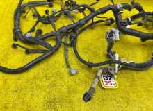 Коса двс TOYOTA LAND CRUISER PRADO 2020 821216AM50 TRJ150W/TRJ150L/TRJ150/TRJ152/TRJ155 2TRFE, передняя
