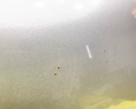 Капот NISSAN