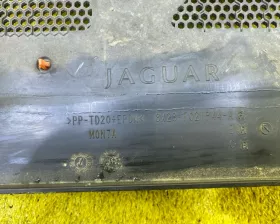 Жабо Jaguar