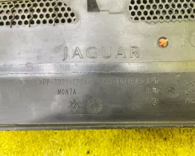Жабо Jaguar