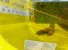 Стекло двери багажника AUDI Q5 2012 8R0845501 8RB CHJA, заднее