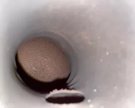 Катализатор VAG
