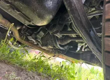 Крыло заднее SUZUKI ESCUDO 2006/Цвет ZCW 6451164J00P31 TA74W M16A, заднее левое