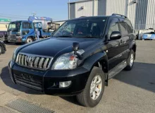 Ступица TOYOTA LAND CRUISER PRADO 2008/Цвет 202 4321160170 TRJ120W 2TRFE, передняя правая