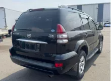 Тросик ручника TOYOTA LAND CRUISER PRADO 2006/Цвет 202 4643060010 TRJ120W 2TRFE, задний левый