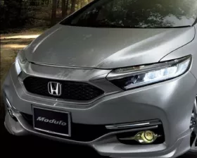 Решетка радиатора MODULO