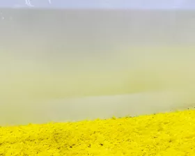 Дверь 5я TOYOTA