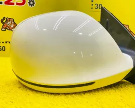 Уши VAG