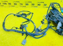 Коса под капот TOYOTA TUNDRA 1999/Цвет 056 821110C030 UCK40L/UCK41L/UCK30L/UCK31L/VCK40L/VCK30L/GSK30L 2UZFE, передняя