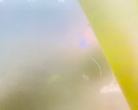 Капот HONDA