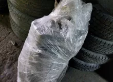Ковер пола TOYOTA SUCCEED 2015/Цвет 1E7 5851052N40 NCP165V 1NZFE