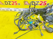 Коса под капот HONDA SHUTTLE 2015/Цвет NH823M 32100TE39003 GK8 L15B, передняя