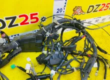 Коса под капот HONDA SHUTTLE 2015/Цвет NH823M 32100TE39003 GK8 L15B, передняя