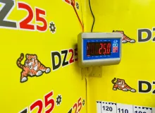 Дверь боковая TOYOTA WISH 2012/Цвет 202 6700368050 ZGE20W 2ZRFAE, задняя правая