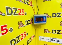 Бардачок TOYOTA WISH 2013/Цвет 202 5541068050 ZGE20W 2ZRFAE, передний