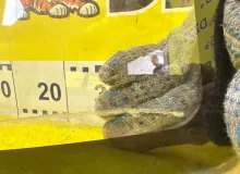 Лобовое стекло SUZUKI ESCUDO 1989/Цвет 0AA 8451562A30 TA01R G16A, переднее