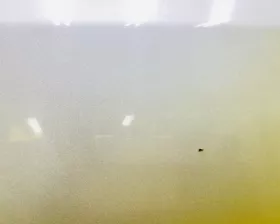 Дверь боковая Toyota
