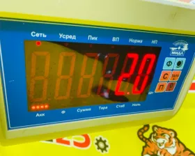 Уши Toyota