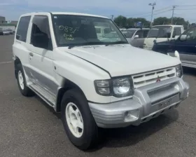 Уши Mitsubishi