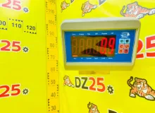 Топливный насос TOYOTA LAND CRUISER 1993/Цвет 6M1 2320666010 FZJ80G 1FZFE, задний