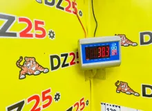Редуктор моста TOYOTA LAND CRUISER ПЕРЕДАТОЧНОЕ ЧИСЛО 43:10 LSD|2001 411106A030 UZJ100W 2UZFE, задний