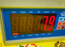 Торсион TOYOTA LAND CRUISER 1998/Цвет 8L4 4816160040 UZJ100W 2UZFE, передний правый