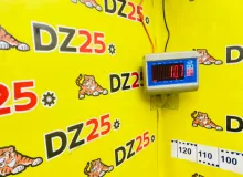 Торпеда TOYOTA WISH 2012/Цвет 202 5530268901B0 ZGE25W 2ZRFAE, передняя