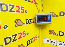 Гайка на колесо TOYOTA WISH 2012/Цвет 202 9094201021 ZGE25W 2ZRFAE