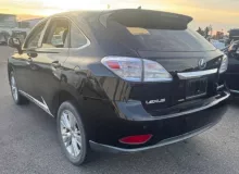 Амортизатор LEXUS RX450H ЛЕВЫЙ|ПРАВЫЙ|2009 4853148160 GYL16W 2GRFXE, задний левый