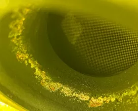 Катализатор VAG