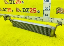 Радиатор масляный BMW X5 2004 17217543348 E53 M54B30, передний