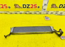 Радиатор масляный BMW X5 2004 17217543348 E53 M54B30, передний
