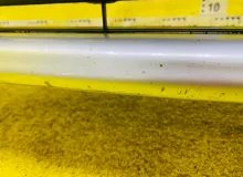 Бампер TOYOTA COROLLA 2010-2013 5211902B30 ZRE151L 1ZRFE, передний