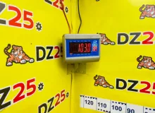 Двигатель TOYOTA COROLLA 2007 170000D820 ZZE122L 1ZZFE, передний