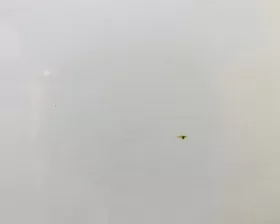 Капот Honda