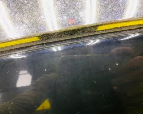 Капот Toyota