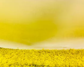 Дверь 5я Honda