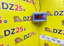 Дверь боковая LEXUS CT200H 2011/Цвет 212 6700176030 ZWA10 2ZRFXE, передняя правая