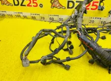 Коса двс TOYOTA TUNDRA 1999/Цвет 202 8212134330 UCK40L 2UZFE, передняя