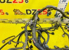 Коса двс TOYOTA TUNDRA 1999/Цвет 202 8212134330 UCK40L 2UZFE, передняя