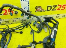 Коса двс TOYOTA TUNDRA 1999/Цвет 202 8212134330 UCK40L 2UZFE, передняя