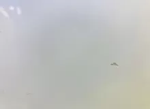 Дверь 5я TOYOTA ISIS 2012/Цвет 070 6700544260 ZGM15W 2ZRFAE, задняя